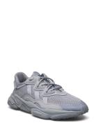 Ozweego Sport Sneakers Low-top Sneakers Grey Adidas Originals