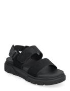 Greyfield Sandal Backstrap Sandal Black Suede Platta Sandaler Black Ti...