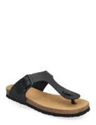 Scholl Sl Claude Pu Leather Svart