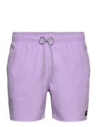 Daily Volley Badshorts Purple Rip Curl