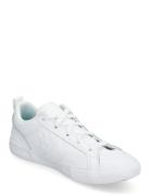 Converse Pro Blaze Ox White/White/White Vit