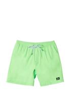 Everyday Solid Volley Yth 14 Badshorts Green Quiksilver