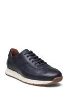 Adlay Låga Sneakers Navy Lloyd