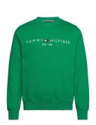 Tommy Hilfiger Tommy Logo Sweatshirt Grön