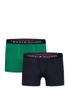 2P Trunk Night & Underwear Underwear Underpants Multi/patterned Tommy ...