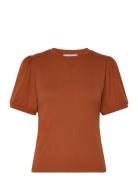 Johanna T-Shirt Tops T-shirts & Tops Short-sleeved Brown Minus