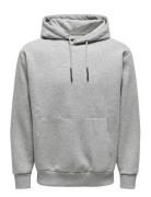 ONLY & SONS Onsceres Hoodie Sweat Noos Grå