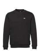 Dickies Oakport Sweatshirt Svart