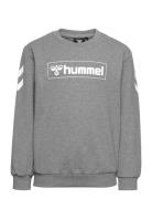 Hmlbox Sweatshirt Sport Sweat-shirts & Hoodies Sweat-shirts Grey Humme...