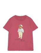 Polo Bear & Big Pony Cotton Tee Tops T-shirts Short-sleeved Red Ralph ...