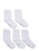 Ankle Sock -Solid Sockor Strumpor White Minymo