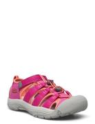 Ke Newport H2 Y Berry-Fusion  Shoes Summer Shoes Sandals Pink KEEN