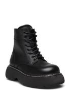 Wanny Bootie Shoes Boots Ankle Boots Laced Boots Black Steve Madden