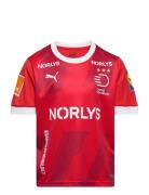 PUMA Dhf Home Jersey Jr Röd