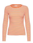 Ludmilla Ls Tee Gots Tops T-shirts & Tops Long-sleeved Orange Basic Ap...