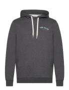 Logo Hoodie Tops Sweat-shirts & Hoodies Hoodies Grey Tom Tailor