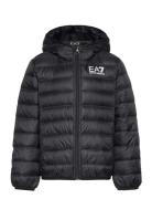 Down Jacket Fodrad Jacka Black EA7