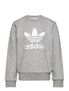 Trefoil Crew Tops Sweat-shirts & Hoodies Sweat-shirts Grey Adidas Orig...