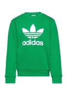 Trefoil Crew Tops Sweat-shirts & Hoodies Sweat-shirts Green Adidas Ori...