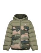 J Sd Aop Jkt Fodrad Jacka Khaki Green Adidas Sportswear