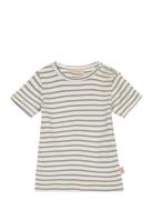 T-Shirt S/S Modal Striped T-shirts Short-sleeved Grey Petit Piao