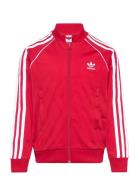 Adidas Originals Sst Track Top Röd