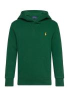 Ralph Lauren Kids Seasonal Fleece-Ls Po Hood-Tp-Knt Grön