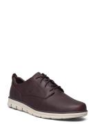 Low Lace Up Sneaker Låga Sneakers Brown Timberland