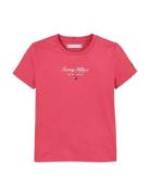 Tommy Hilfiger Th Nyc Foil Tee Ss Rosa