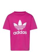 Adidas Originals Trefoil Tee Rosa