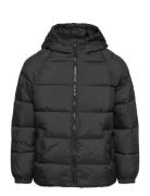 Hood Quilted Coat Fodrad Jacka Black Mango