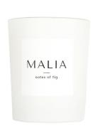 Notes Of Fig Candle Doftljus Nude MALIA