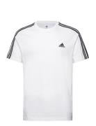 Adidas Sportswear M 3S Sj T Vit