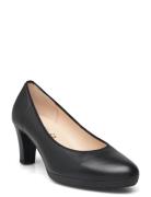 Pumps Shoes Heels Pumps Classic Black Gabor