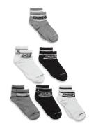 Converse 6W-6Pk Crew Sock Grå