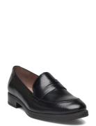 Robin Loafers Låga Skor Black Wonders