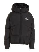 Ck Short Puffer Jacket Fodrad Jacka Black Calvin Klein