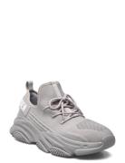 Prospect Sneaker Låga Sneakers Grey Steve Madden