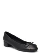 Cherish Ballerina Ballerinaskor Ballerinas Black Steve Madden