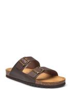 Scholl Sl Julien New Leather Coffee Brun