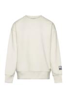 Tom Tailor Over Basic Sweatshirt Kräm