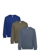 Lindex Sweatshirt Basic Solid 3 Pack Multi/patterned