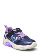 J Fadinlight Girl Låga Sneakers Purple GEOX