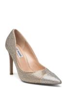 Steve Madden Evelyn-Cr Pump Silver