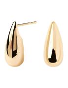 PD Paola Large Sugar Earrings Guld