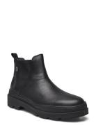 Brutus Trek Stövletter Chelsea Boot Black Camper