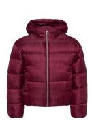 Logo Aop Puffer Jacket Fodrad Jacka Red Calvin Klein