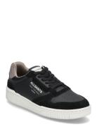 Regan Low Top Låga Sneakers Black AllSaints