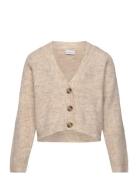 Name It Nkfholly Boxy Short Knit Card Noos Beige