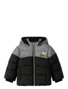 Name It Nmmmorten Puffer Jacket Dino Detail Svart